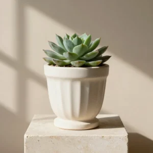 Fluted Jesmonite Pedestal Planter